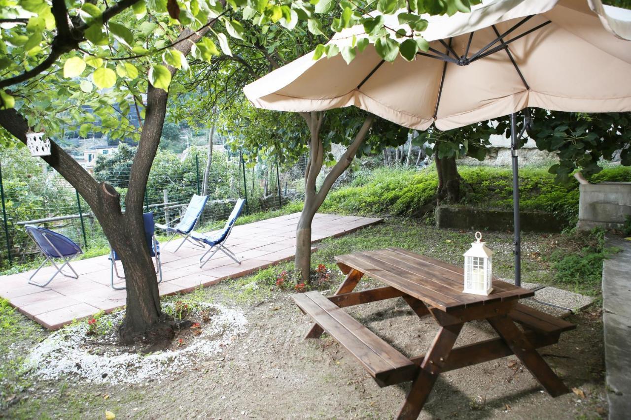 Casa Rosa Appartamento Con Giardino Cetara Ngoại thất bức ảnh